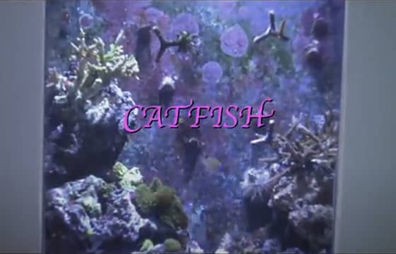 Catfish clip #2