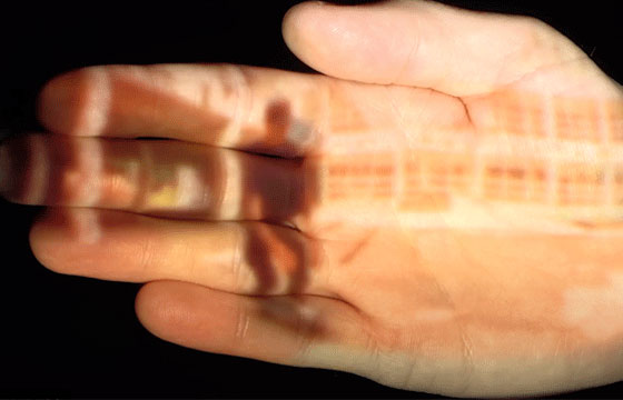 Bobby De Keyzer's "Hard Dream" - 411-QJ02 HD24