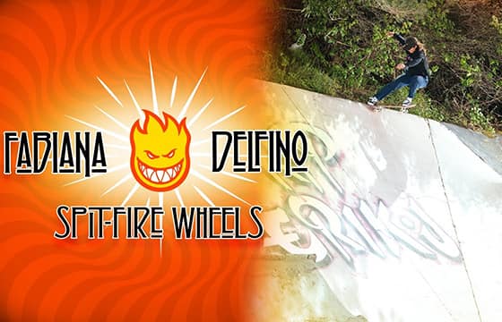 FABIANA DELFINO SPITFIRE PART