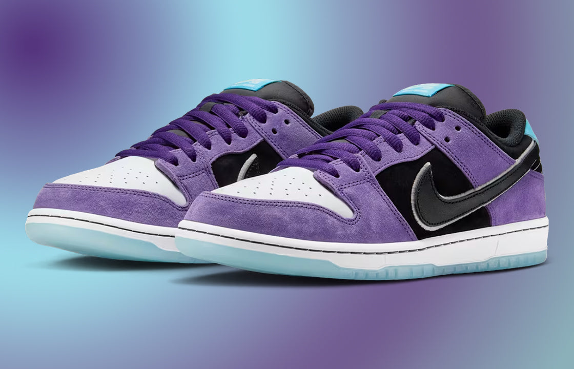 Hayley Wilson X Nike SB Dunk Low Pro