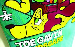 Landscape Joe Gavin x KREK