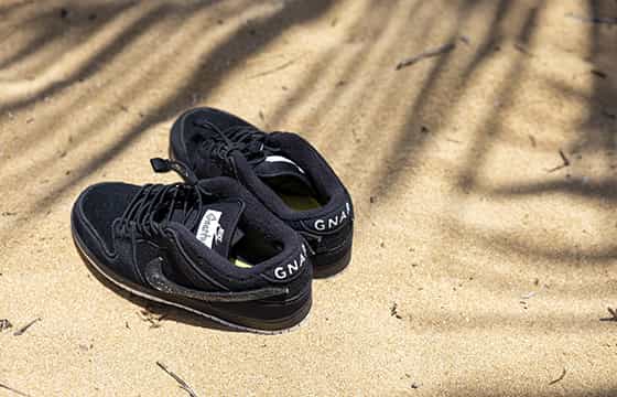 Nike SB x Gnarhunters