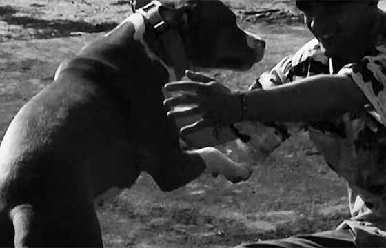 PADLOCK - JACK PARKER