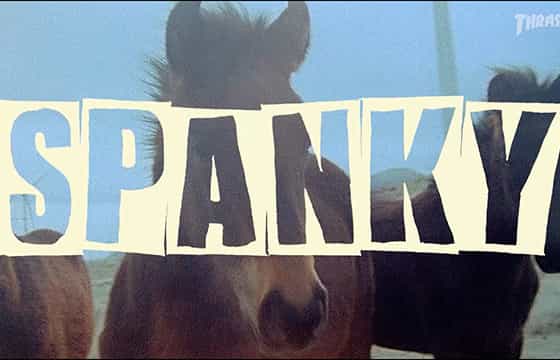 Spanky Horses Part
