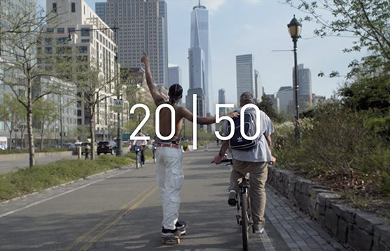 adidas Skateboarding 20|50