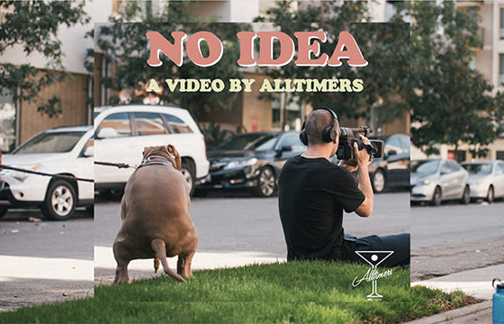 Alltimers No Idea video