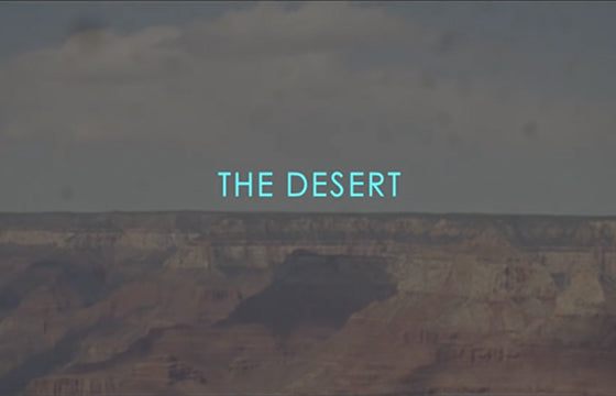 Atlantic Drift Las Vegas