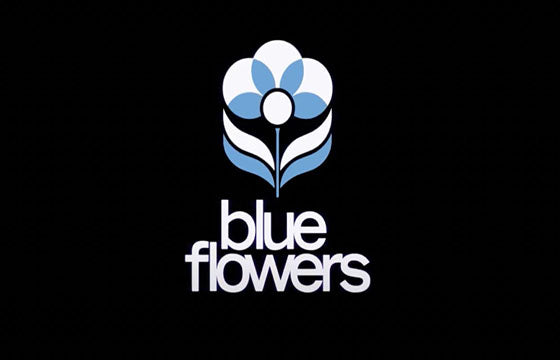 BLUE FLOWERS DELPHINIUM