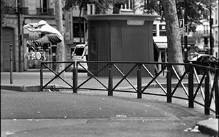 Dom Henry Live Skateboard Media