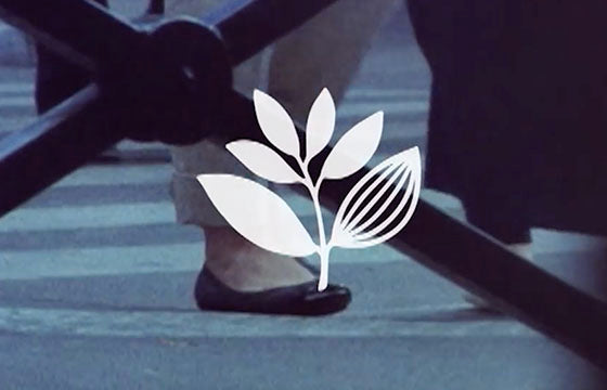 Magenta Toujours Paris