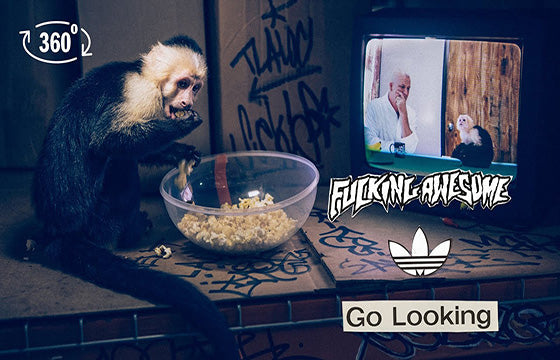 adidas Skateboarding FA World Entertainment Go Looking