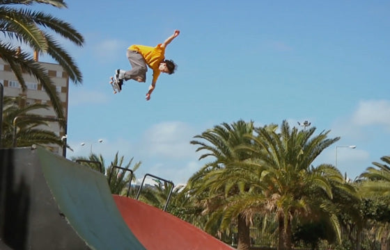 Nike SB Daan Van Der Linden