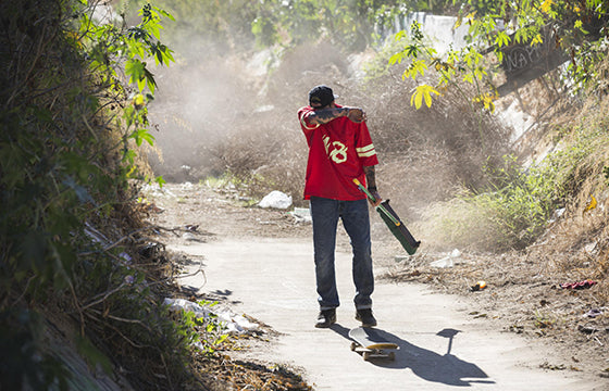 Nike SB x Antihero 18