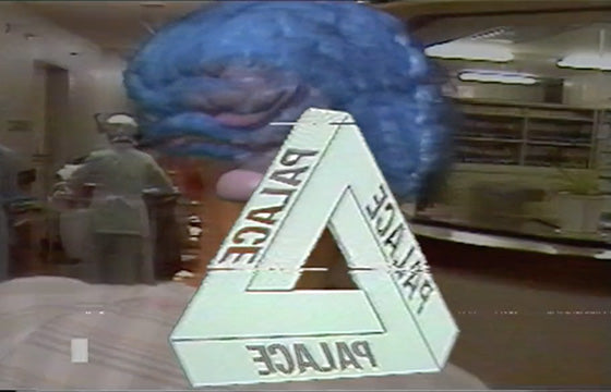 Palace The Merchandise video