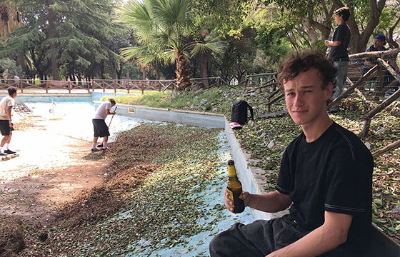 Came to Sicily For Nothing