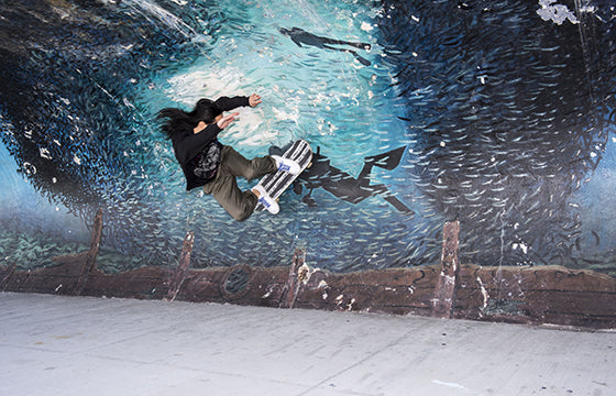 Quartersnacks x Nike SB