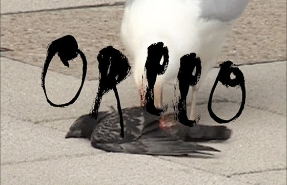 Ravenous Oreeo video