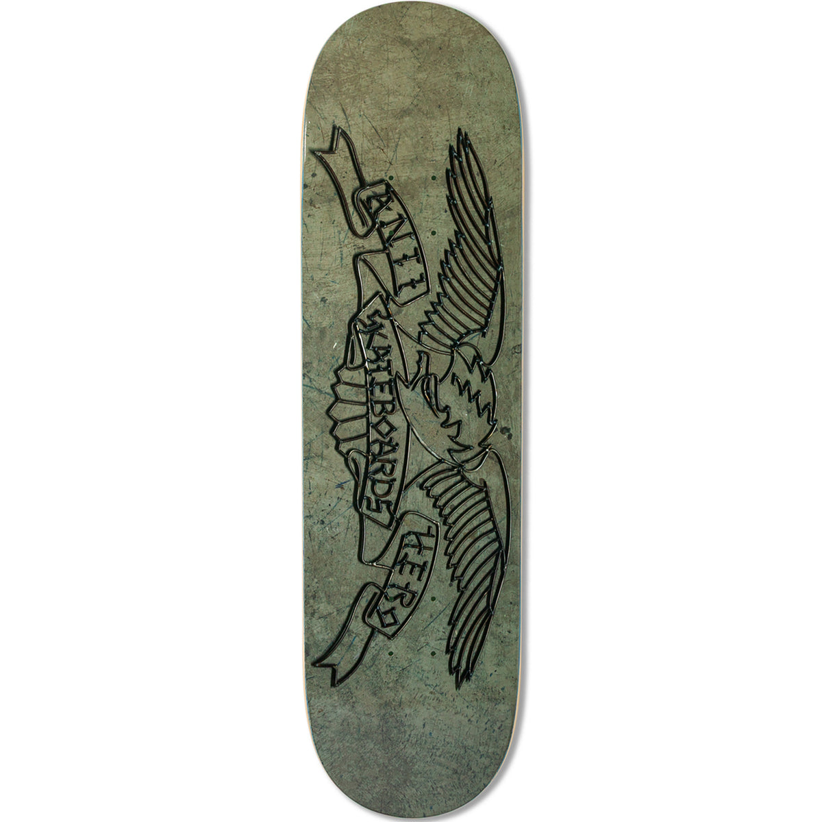 Antihero Treasure Island Eagle Skateboard Deck 8.5" Short