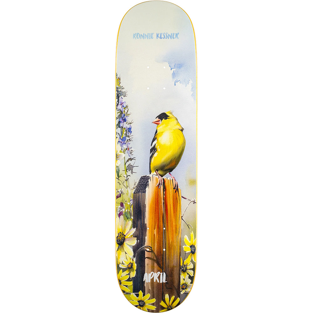 April Ronnie Kessner Gold Finch Skateboard Deck 8"