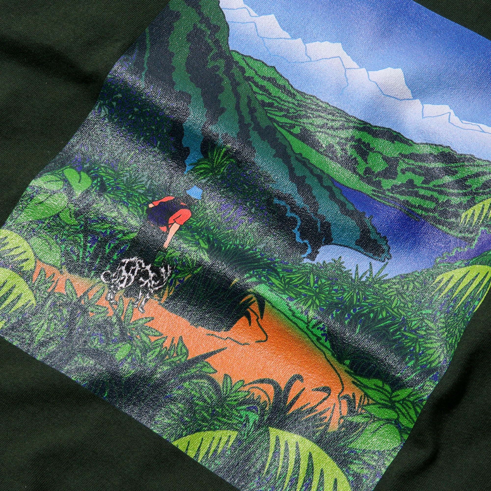 Skateboard Cafe Mountains Tee Forrest Green