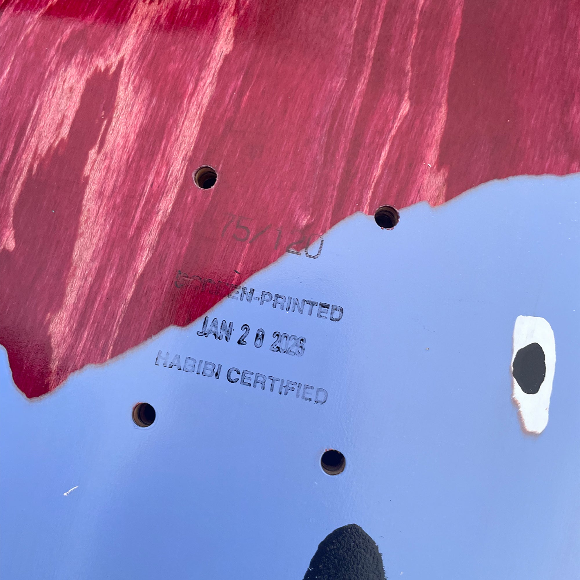 Carpet Company Low IQ Dog Skateboard Deck 8.25"