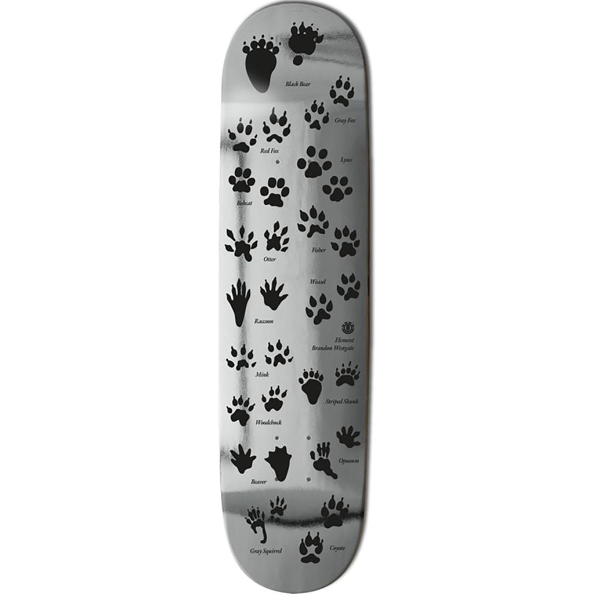 Element Brandon Westgate Tracks Skateboard Deck 8.25"