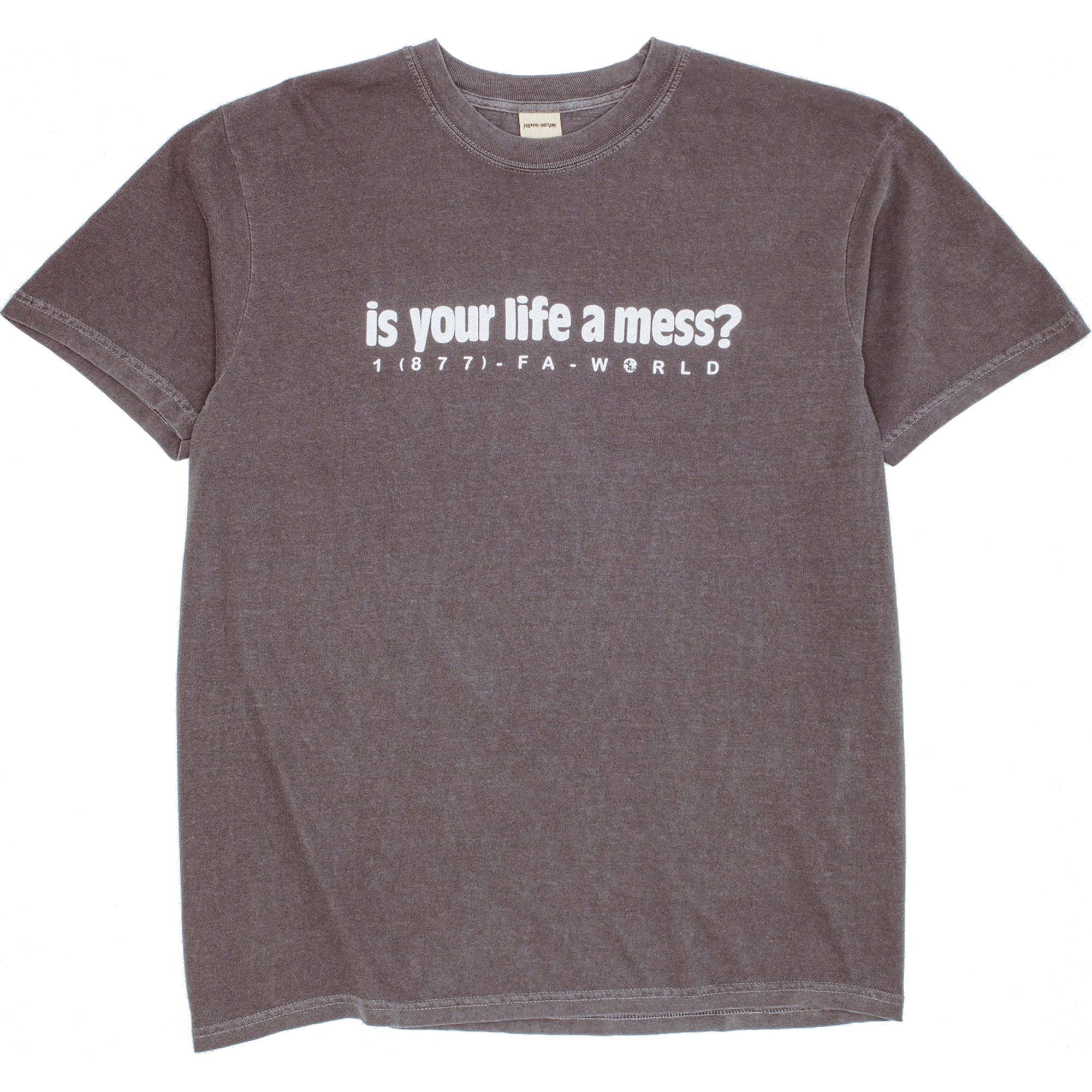 Fucking Awesome Is Your Life A Mess Short Sleeve Graphite