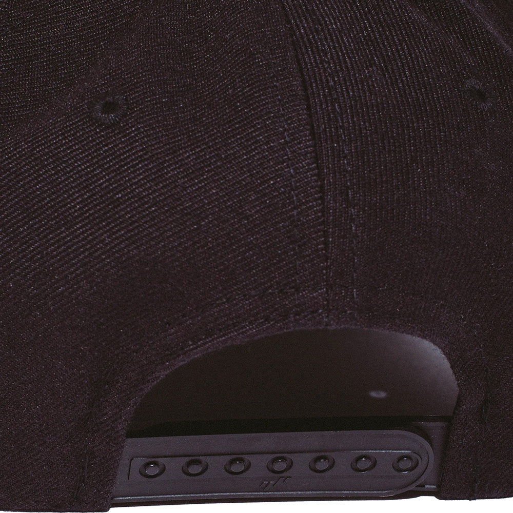 Fucking Awesome PBS Logo Snapback Black