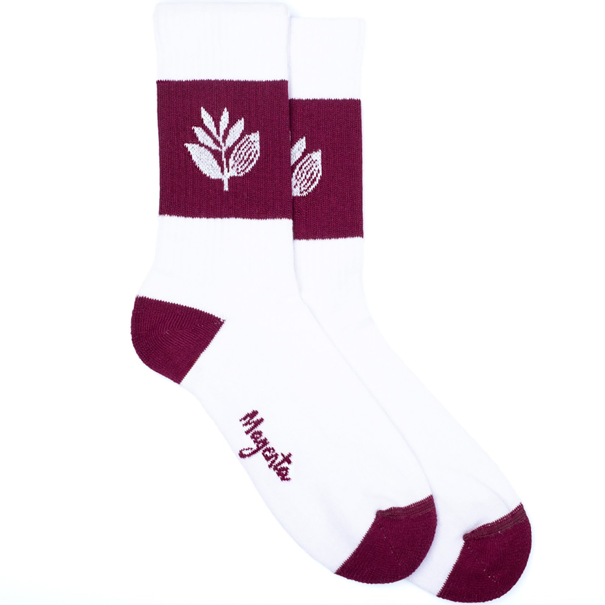 Magenta Stripe Socks White
