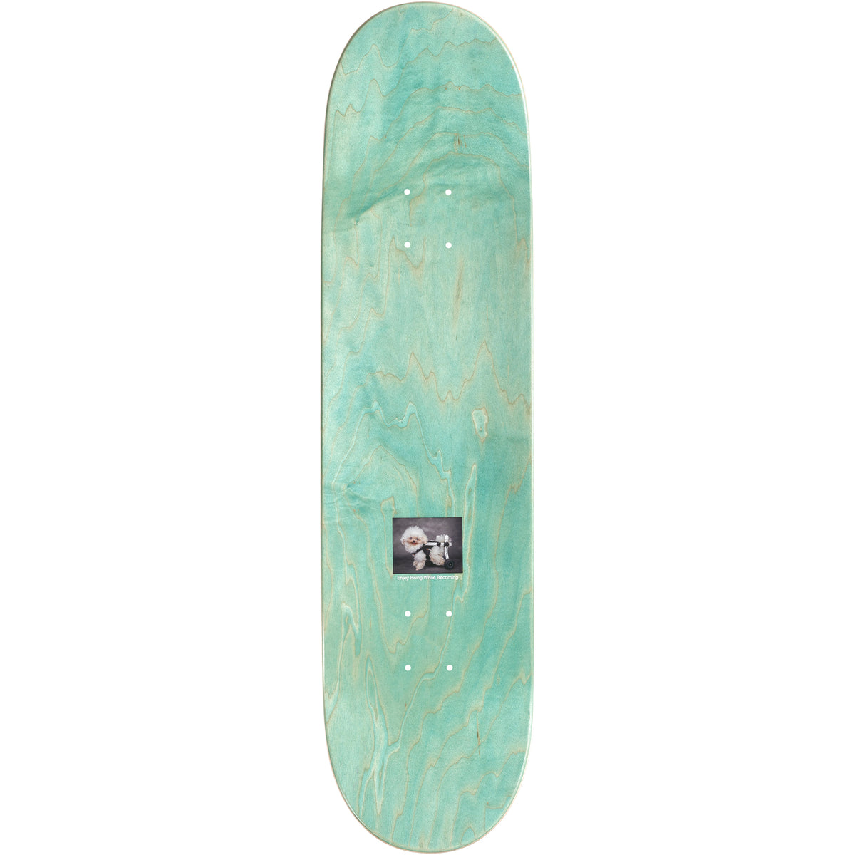 Sci-Fi Fantasy Ryan Lay Fan Skateboard Deck 8.38"