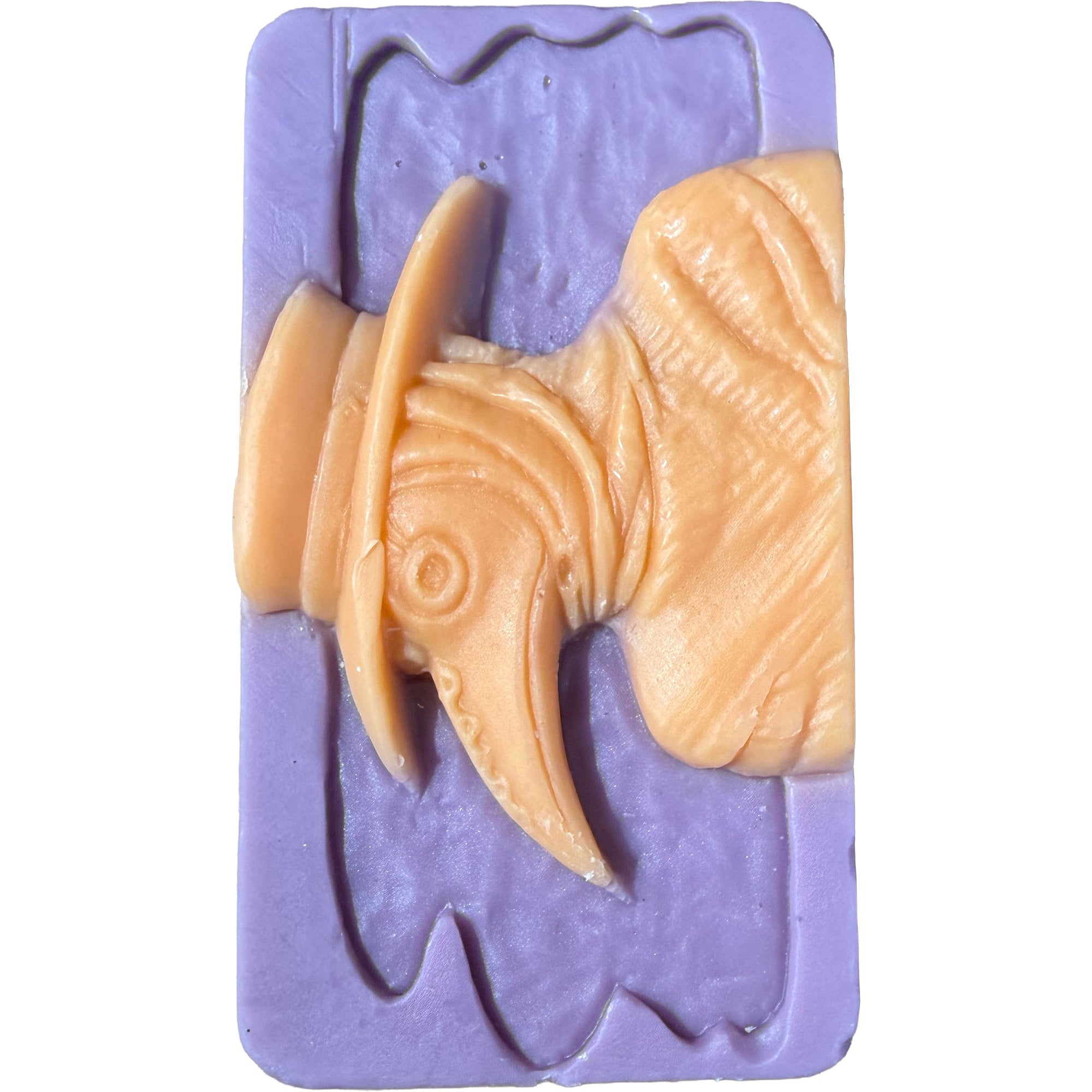 Wicked Skateboard Wax Plague Doctor
