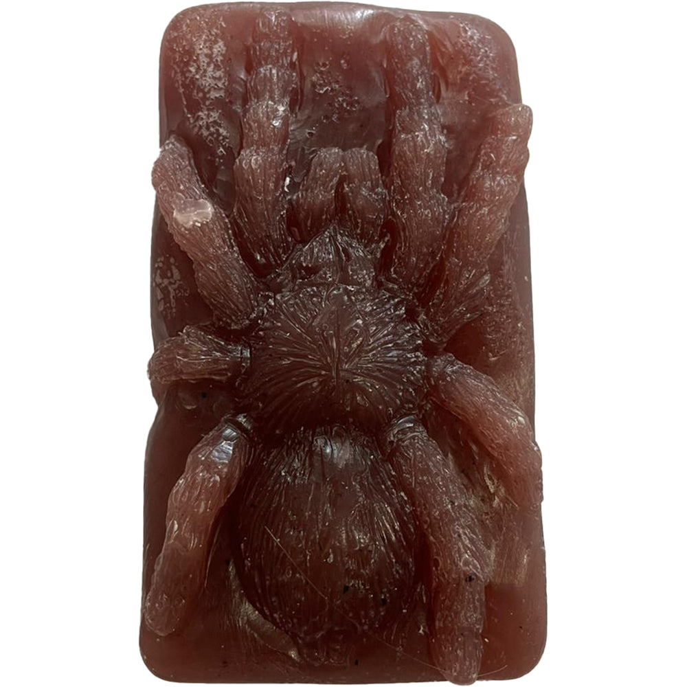 Wicked Skateboard Wax Tarantula