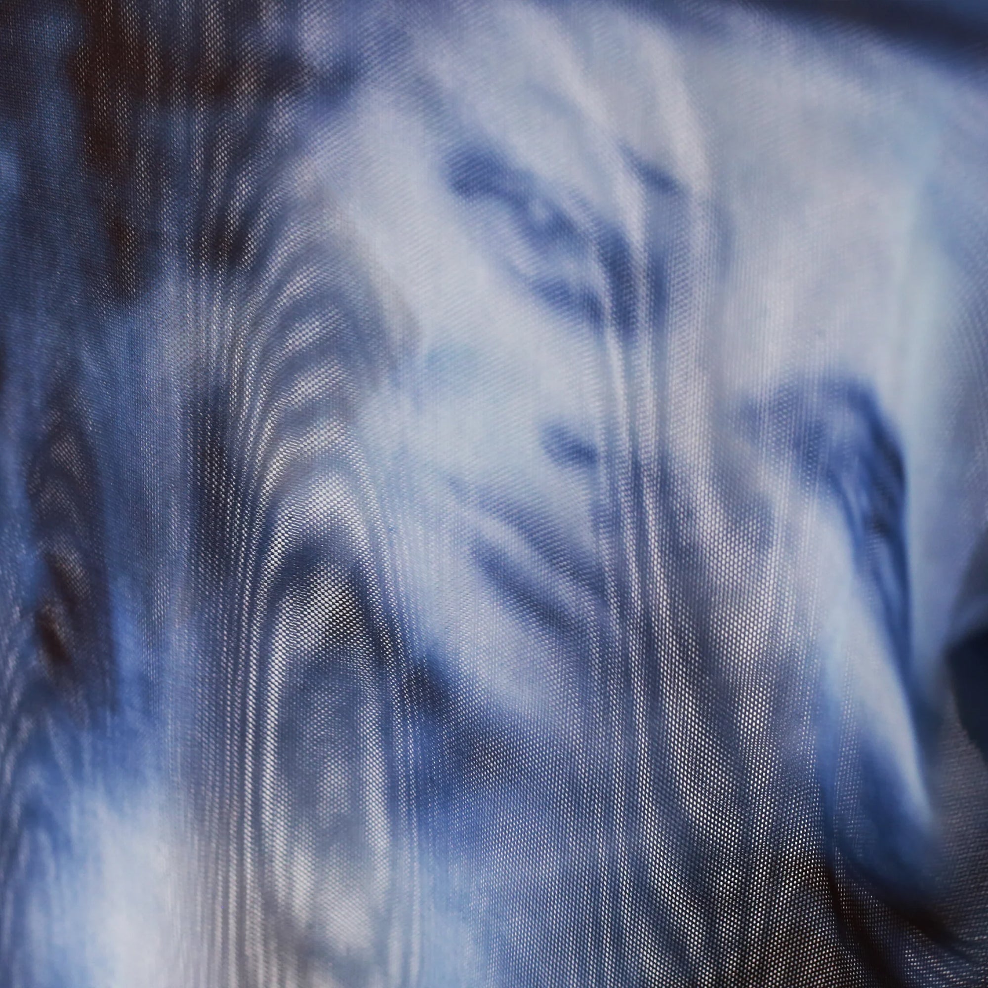 Yardsale Butterfly Mesh Navy