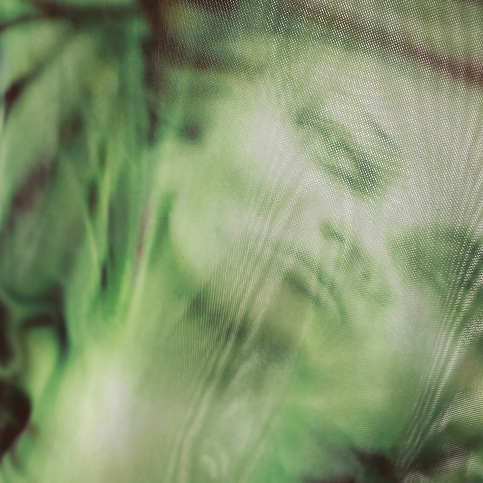 Yardsale Butterfly Mesh Black