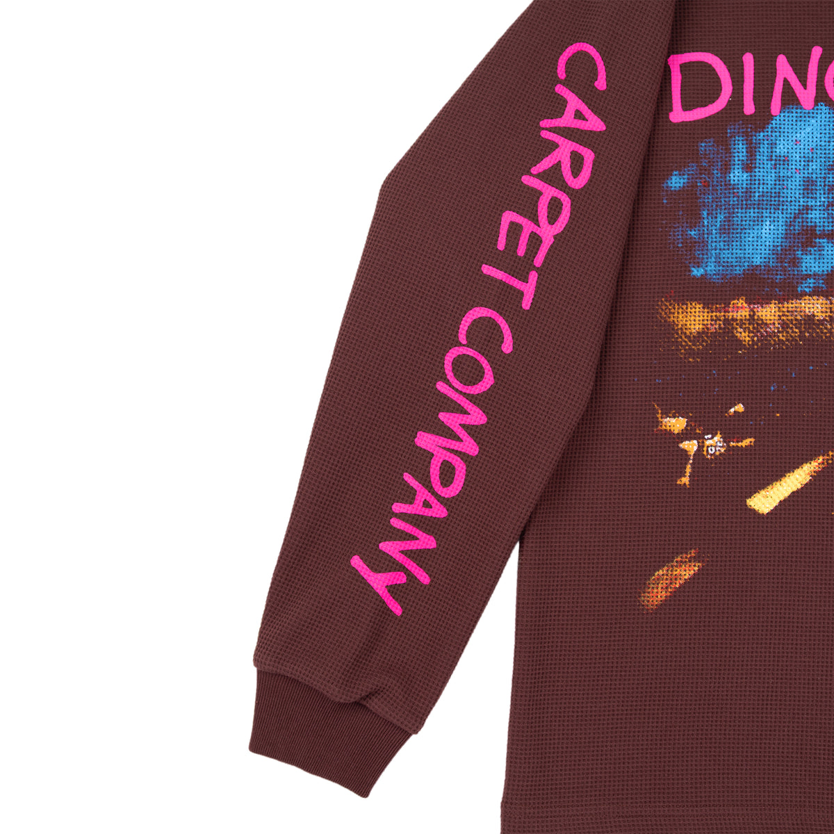 Carpet Company x Dinosaur Jr. Where You Been Longsleeve Brown
