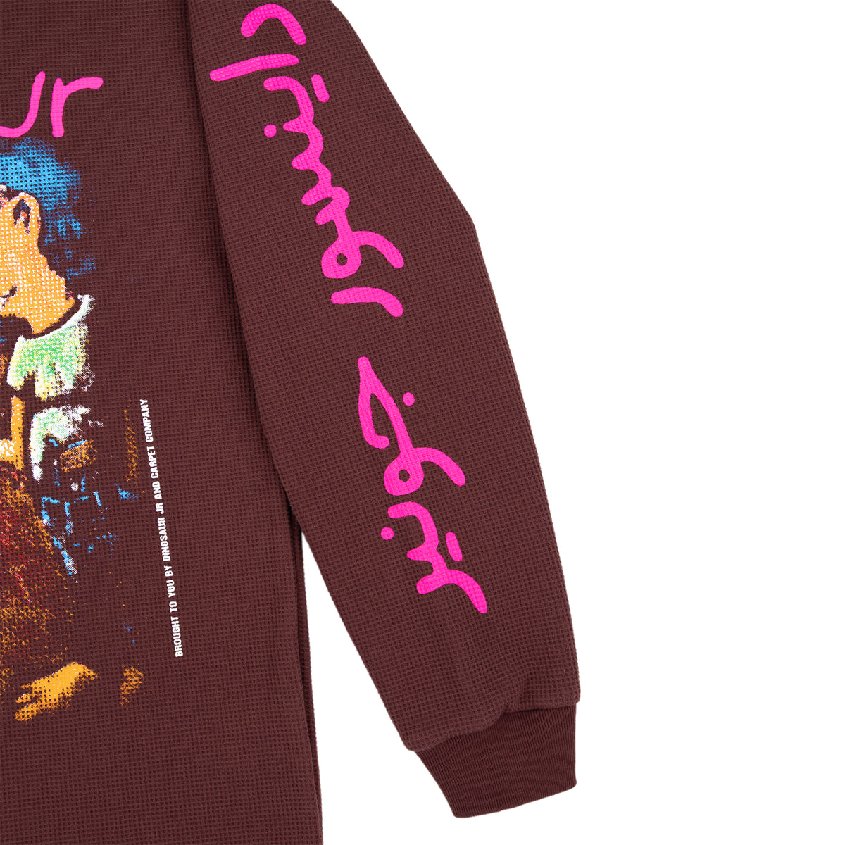 Carpet Company x Dinosaur Jr. Where You Been Longsleeve Brown