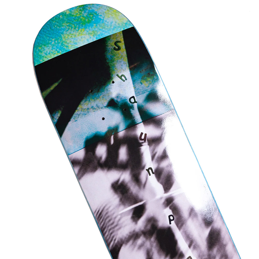 Hoddle Shaun Paul Bell Skateboard Deck 8.5"