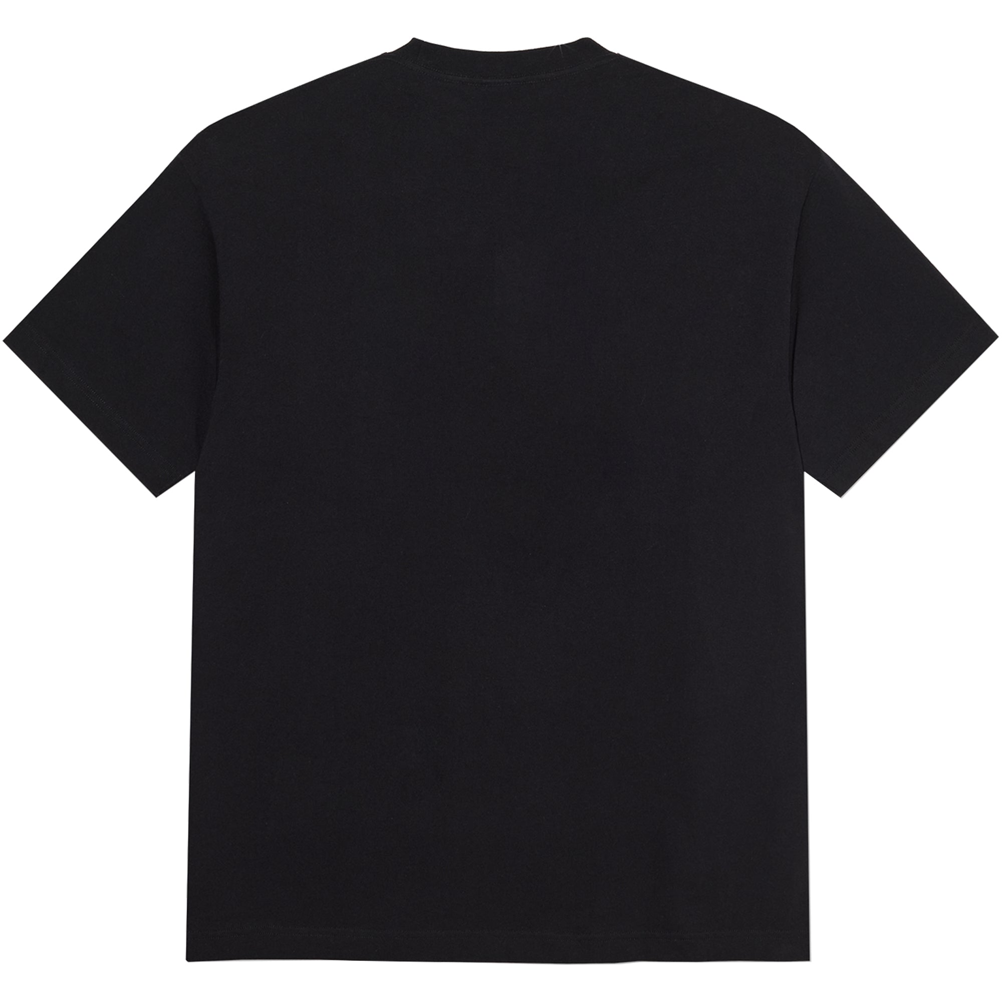 Polar Skate Co Wrinkle Tee Black