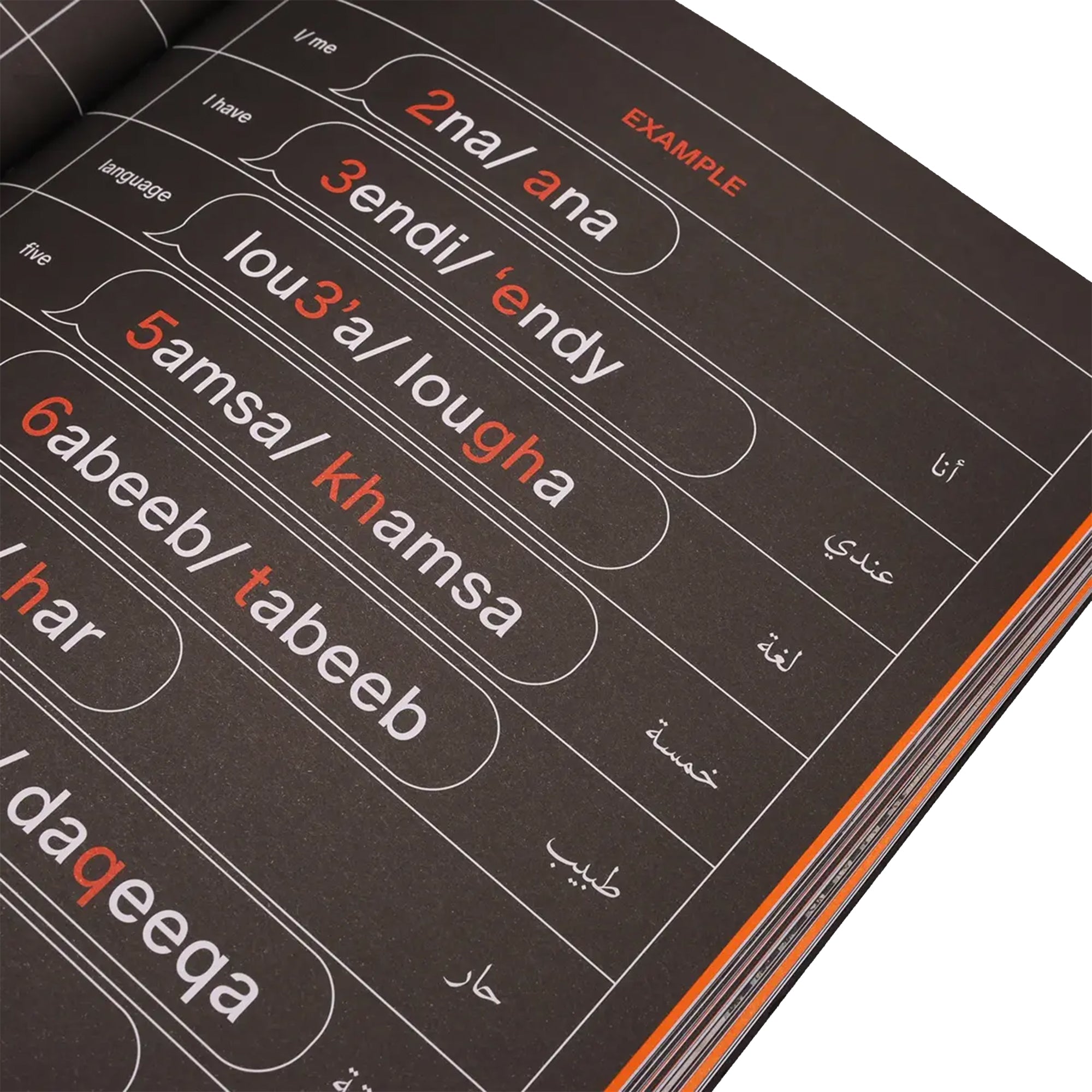 SkatePal Haraka Baraka Book