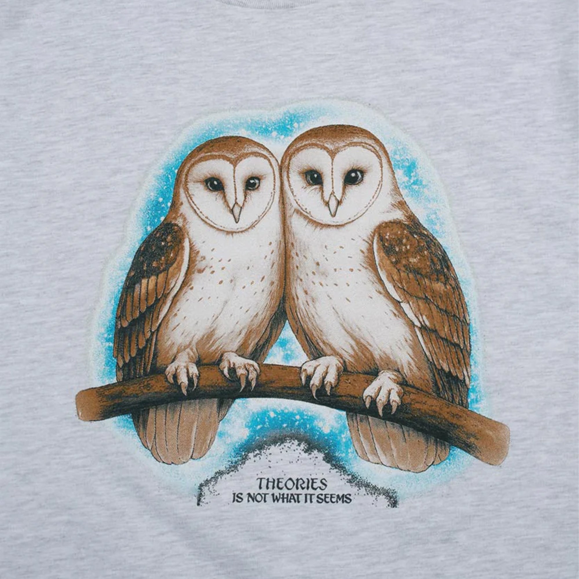 Theories Not What They Seem Tee Ash
