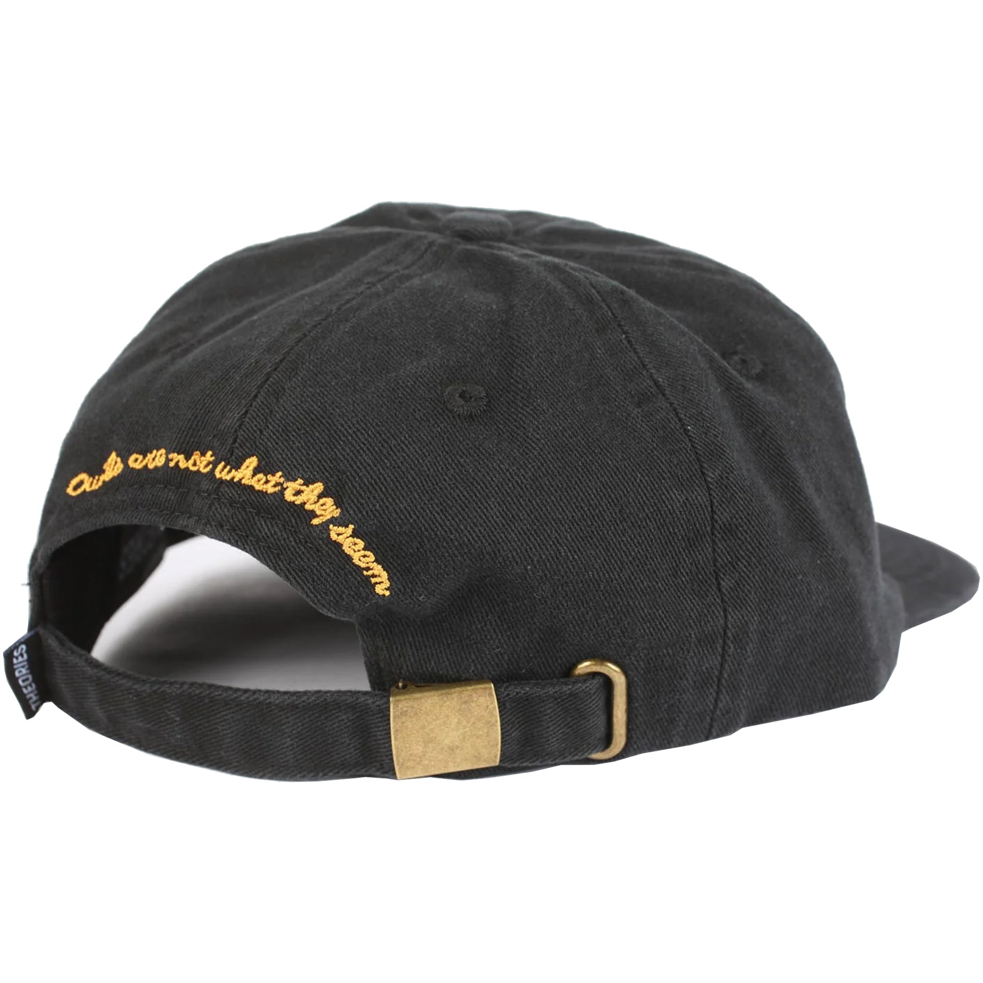 Theories Not What They Seem Strapback Hat Black