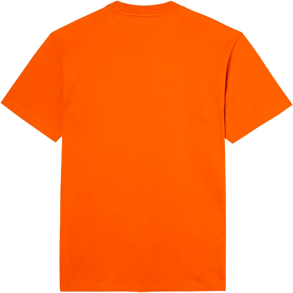 Dickies Mount Vista T shirt burnt orange