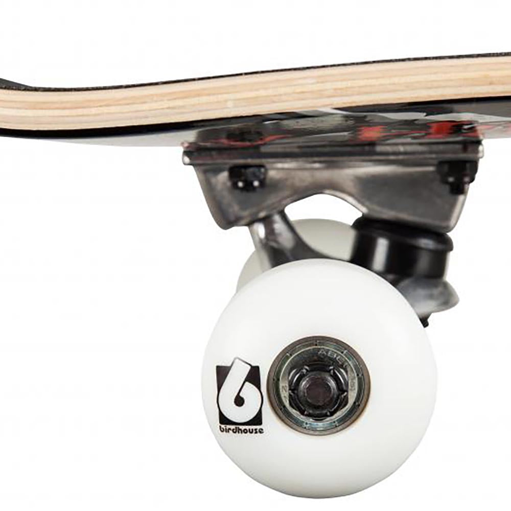Birdhouse Triple Stack Rasta Stage 1 Complete Skateboard 8"