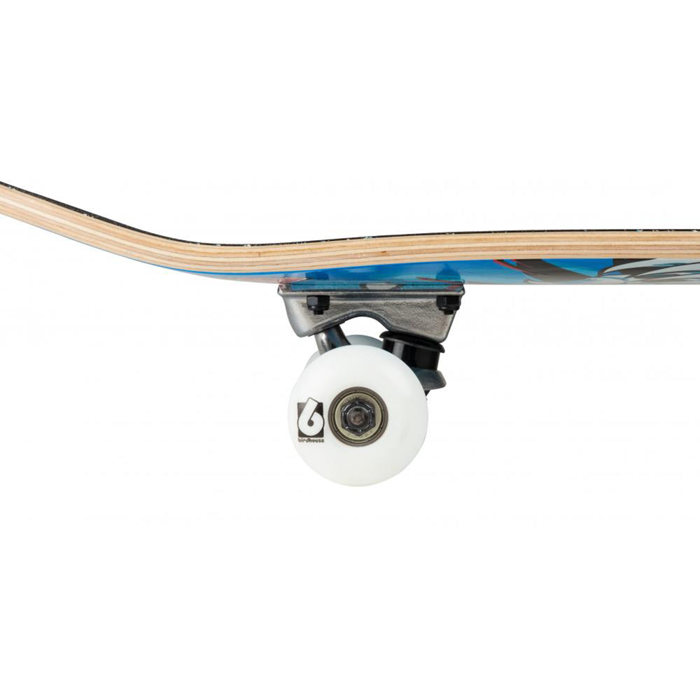 Birdhouse Hawk Spiral Stage 1 Complete Skateboard Blue 7.75"