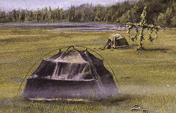 A Mid Summer video premiere