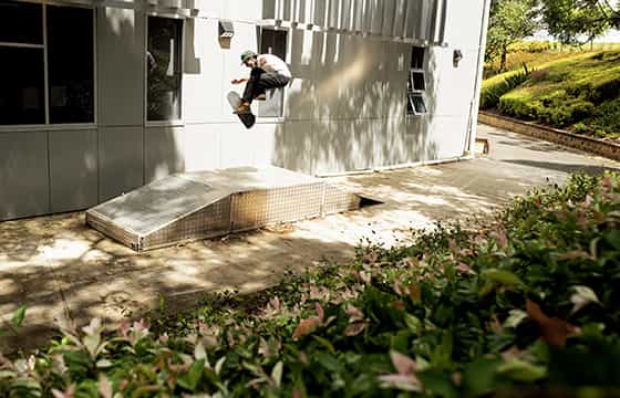 Nike SB x Pass~Port