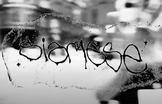 Siamese