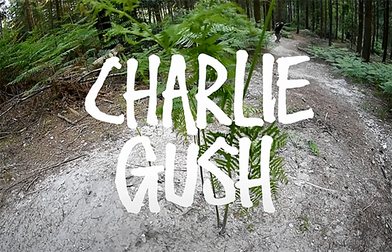 Charlie Gush Heroin Skateboards