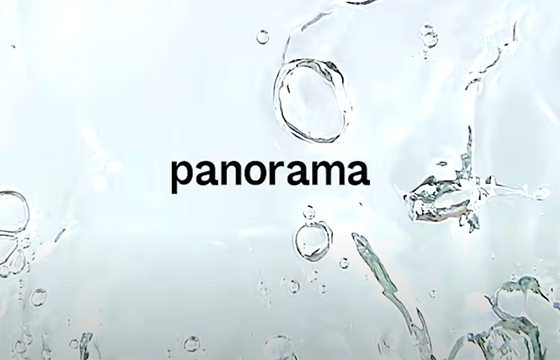 PANORAMA 3