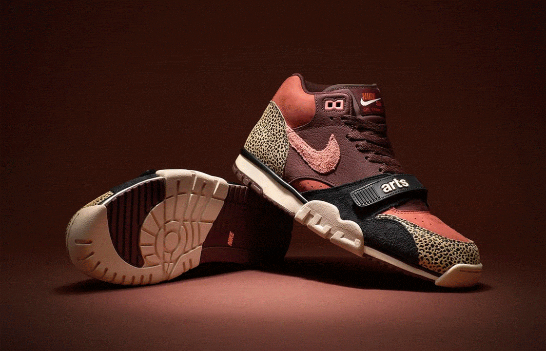 Arts & Rec X Nike SB